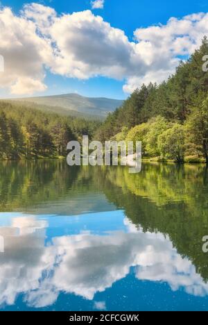 Ruhiger, transparenter See, der einen weißen, wolkigen Himmel reflektiert und von Wald umgeben ist Und hügeligen Berg in Norwegen Stockfoto