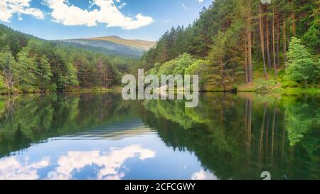 Ruhiger, transparenter See, der einen weißen, wolkigen Himmel reflektiert und von Wald umgeben ist Und hügeligen Berg in Norwegen Stockfoto