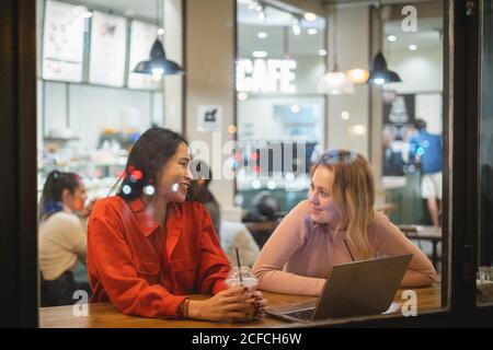 Junge multirassische Frauen lächeln und sprechen miteinander, während Sitzen am Tisch in gemütlichen Café arbeiten am Computer Stockfoto