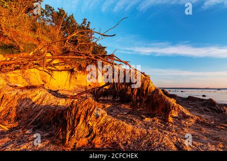 Küstenabdruck, Timmendorf, Insel Poel, Ostsee Stockfoto