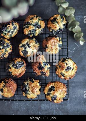 Hausgemachte vegane Heidelbeer-Muffins auf Kühlregal auf dunklem Hintergrund. Vertikal. Ansicht von oben oder flach liegend. Stockfoto