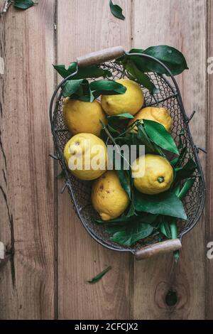 Draufsicht auf bunte gelbe frische Zitronen und grüne Blätter In Metallkorb auf Holztisch Stockfoto