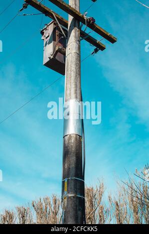 Neuseeländische Landschaft, ikonische Kiwi-Sehenswürdigkeiten: Possumrutschen auf Strommasten: Diese verhindern, dass Opossums auf den Transformator klettern. Stockfoto