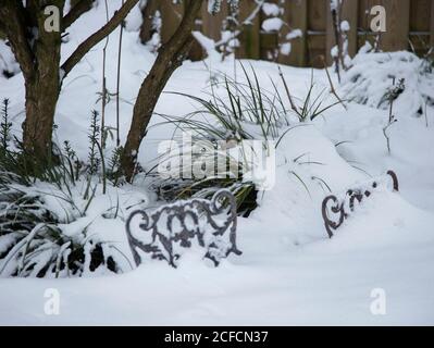 Sdge im Schnee mit eisernen Rand Stockfoto