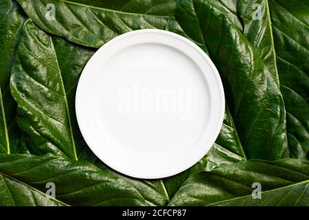 Leere weiße Keramikplatte auf Noni oder Morinda Citrifolia Blätter Hintergrund. Stockfoto