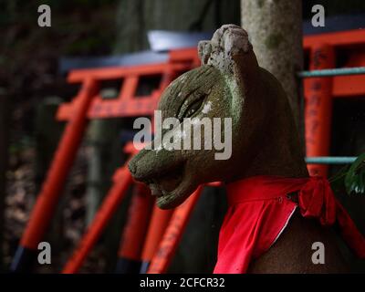 Schäbige Skulptur des Fuchsgeistes befindet sich außerhalb des traditionellen Shinto-Tempels In Japan Stockfoto