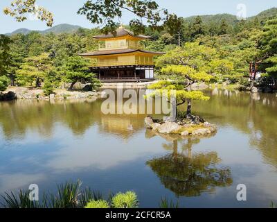 Traditionelle asiatische Pagode an der Küste des ruhigen Sees inmitten von Grün Bäume an sonnigen Tagen in Japan Stockfoto