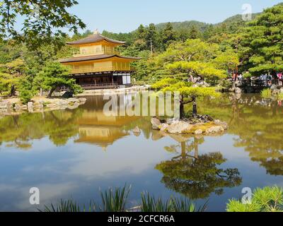 Wunderschöner tropischer Wald und Pagode Stockfoto