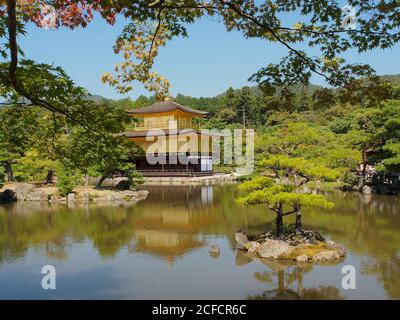 Wunderschöner tropischer Wald und Pagode Stockfoto