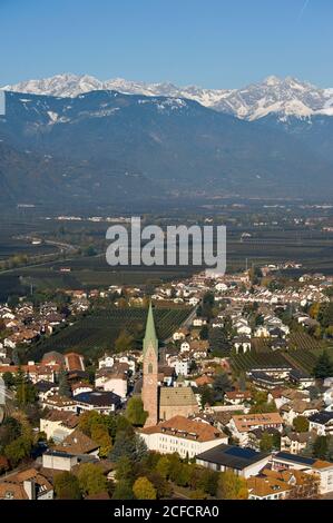 Italien, Trentino-Südtirol, Südtirol, Südtirol, Terlan / Terlan, Stockfoto