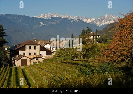Italien, Trentino-Südtirol, Südtirol, Südtirol, Terlan / Terlan, Stockfoto