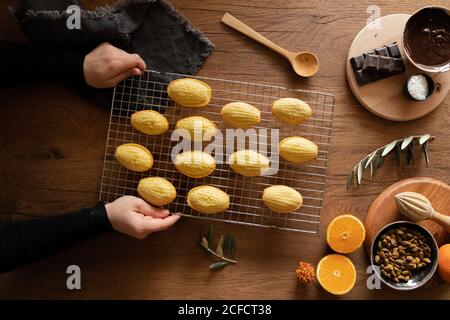 Draufsicht der Ernte Hände der weiblichen Putting Grill mit Frisch gebackene hausgemachte Madeleine Plätzchen auf Holztisch mit Schokolade Und Nüsse zum Garnieren vorbereitet Stockfoto