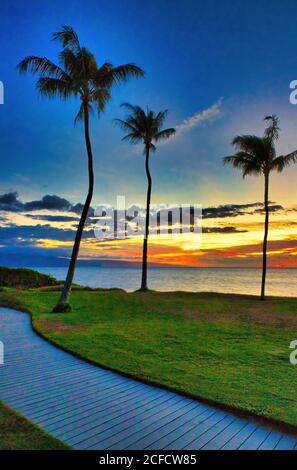 Vertikaler Sonnenuntergang mit Palmen auf Maui mit Lanai in der Ferne. Stockfoto