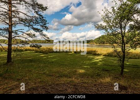 Weite Sicht auf die Schärenlandschaft, eingerahmt von Bäumen. Stockfoto