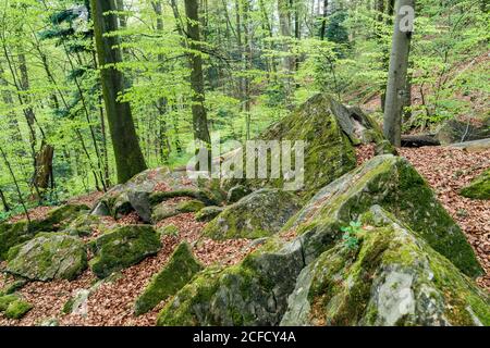 Deutschland, Baden-Württemberg, Murrhardt, Felsbrocken im NSG Felsenmeer am Riesberg im Naturpark Schwäbisch-Fränkischer Wald. Stockfoto