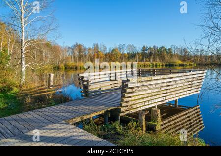 Deutschland, Baden-Württemberg, Wilhelmsdorf-Pfrungen (RV) und Ostrach-Burgweiler (SIG), Pfrunger-Burgweiler Ried, Holzbohlensteg (2012) und Besichtigung Stockfoto