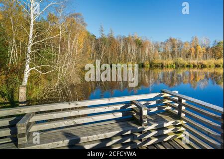 Deutschland, Baden-Württemberg, Wilhelmsdorf-Pfrungen (RV) und Ostrach-Burgweiler (SIG), Pfrunger-Burgweiler Ried, Aussichtsplattform am pentagon-Teich. Stockfoto