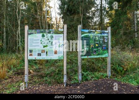 Deutschland, Baden-Württemberg, Wilhelmsdorf-Pfrungen (RV) und Ostrach-Burgweiler (SIG), Pfrunger-Burgweiler Ried, Lehrtafeln auf dem Schilfweg Stockfoto