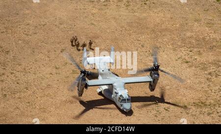 U.S. Marineinfanteristen mit 3rd Marine Regiment, 3rd Marine Division, III Marine Expeditionary Force, führen eine Lufteinlage über MV-22 Ospreys mit Marine Medium Tiltrotor Squadron (VMM) 363 während einer Marine Air-Ground Task Force Demonstration im Marine Corps Training Area Bellows, Hawaii, 1. September 2020. Esper machte den Besuch, um eine Marine Air-Ground Task Force Demonstration, die Elemente der Luftfahrt, Boden und amphibische Fähigkeiten zu sehen. (USA Marine Corps Foto von CPL. Eric Tso) Stockfoto