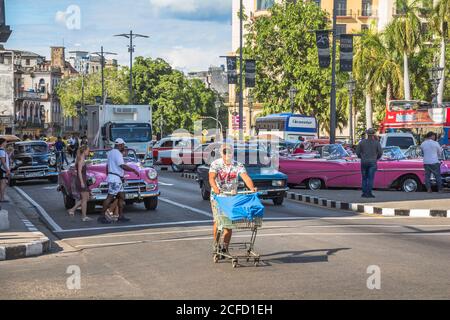 Mann mit Einkaufswagen auf der Straße vor dem Capitol, Alt-Havanna, Kuba Stockfoto