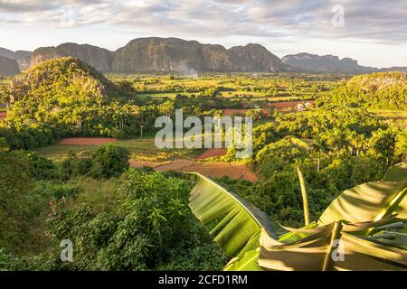 Blick auf das Vinales Tal ('Valle de Vinales') im Abendlicht, Provinz Pinar del Rio, Kuba Stockfoto