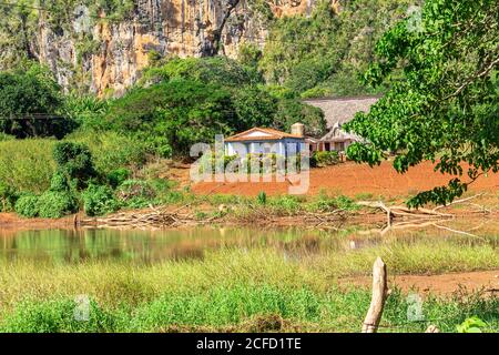 Landschaft und ländliches Leben auf Wanderwegen im Vinales-Tal ("Valle de Vinales"), Provinz Pinar del Rio, Kuba Stockfoto