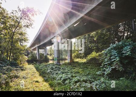 Architektur, Technik und Natur, unter einer Brücke, Überbau im Hinterlicht, Sonnenfleck mit Lichtstrahlen, Betonbrücke über die Ilmenau Stockfoto