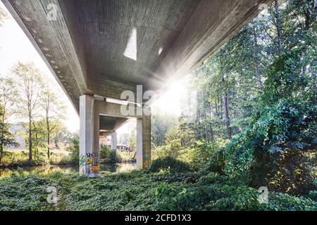 Architektur, Technik und Natur, unter einer Brücke, Überbau im Hinterlicht, Sonnenfleck mit Lichtstrahlen, Betonbrücke über die Ilmenau Stockfoto