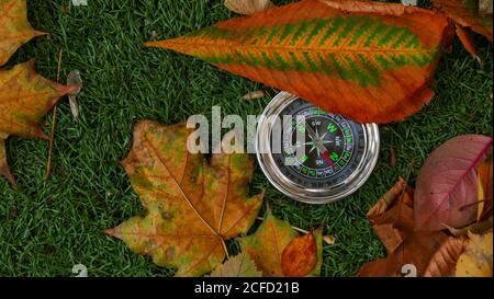 Verwenden Sie Kompass Im Wald Stockfoto