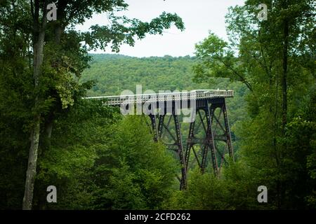Kinzua Bridge State Park, McKean County, Pennsylvania, USA Stockfoto