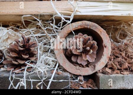 Großes Insektenhotel aus Paletten, perforierten Steinen, mit Holzwolle und Zapfen, Detail Stockfoto