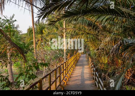 Betonweg unter Palmen und Bäumen im Prapadaeng Bezirk im Abendlicht, Bangkok, Thailand Stockfoto