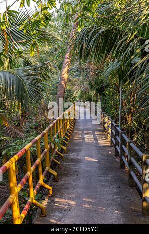 Betonweg unter Palmen und Bäumen im Prapadaeng Bezirk im Abendlicht, Bangkok, Thailand Stockfoto