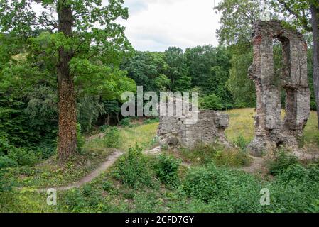 Deutschland, Sachsen-Anhalt, Stecklenberg, mittelalterliche Burgruine Stecklenburg im Harz. Stockfoto