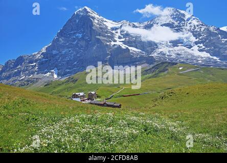 Kleine Scheidegg vor Eiger und Moench, Wengen, Jungfrau Region, Berner Alpen, Berner Oberland, Kanton Bern, Schweiz, UNESCO World Natural Stockfoto