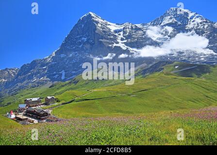 Kleine Scheidegg vor Eiger und Moench, Wengen, Jungfrau Region, Berner Alpen, Berner Oberland, Kanton Bern, Schweiz, UNESCO World Natural Stockfoto