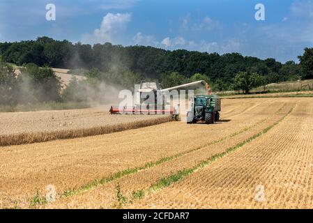 Mähdrescher und Ladewagen auf einem reifen Gerstenfeld, Unterfranken, Bayern, Deutschland Stockfoto