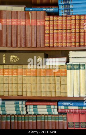 Bücherregal mit alten Büchern, Innenansicht Wohnzimmer Detail traditionelle norwegische Holzhaus, Nordland, Norwegen Stockfoto