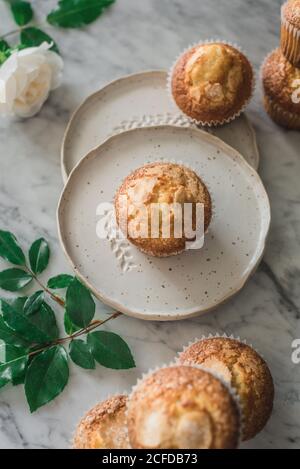 Stillleben von leckeren Joghurt Cupcakes auf runden Tellern in Arrangement mit grünen Blättern und aromatischen weißen Rosen im Glas Vase auf Marmortisch gegen graue Wand in der Küche Stockfoto