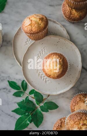 Stillleben von leckeren Joghurt Cupcakes auf runden Tellern in Arrangement mit grünen Blättern und aromatischen weißen Rosen im Glas Vase auf Marmortisch gegen graue Wand in der Küche Stockfoto