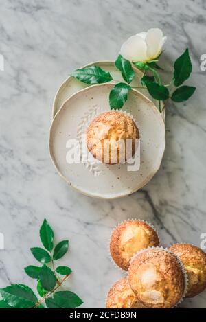 Stillleben von leckeren Joghurt Cupcakes auf runden Tellern in Arrangement mit grünen Blättern und aromatischen weißen Rosen im Glas Vase auf Marmortisch gegen graue Wand in der Küche Stockfoto