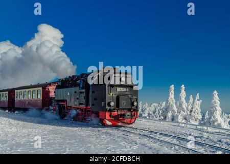 Brockenbahn fährt durch verschneite Landschaft auf den Brocken, Dampflokomotive, Winter, Schnee, Harz, Berg, Schierke, Sachsen-Anhalt, Deutschland Stockfoto