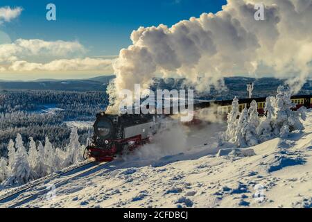 Brockenbahn fährt durch verschneite Landschaft auf den Brocken, Dampflokomotive, Winter, Schnee, Harz, Berg, Schierke, Sachsen-Anhalt, Deutschland Stockfoto