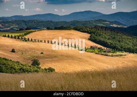 Europa, Italien, Strada Provinciale 27, Casole d'Elsa, Toskana, Stockfoto