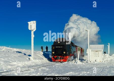 Brockenbahn fährt durch verschneite Landschaft auf den Brocken, Dampflokomotive, Winter, Schnee, Harz, Berg, Schierke, Sachsen-Anhalt, Deutschland Stockfoto