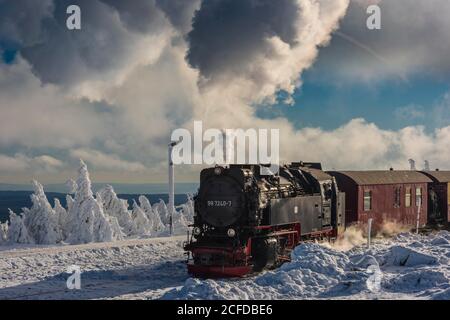 Brockenbahn fährt durch verschneite Fichten (Picea) zum Brocken, Harz, Schierke, Sachsen-Anhalt, Deutschland Stockfoto