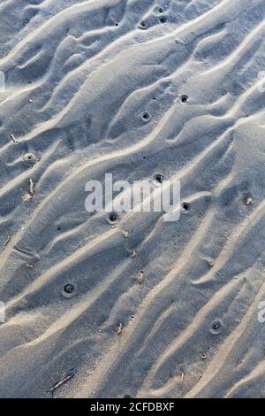 Meeresboden am Strand bei Ebbe - Wasserform Wellenmuster im Sand Stockfoto