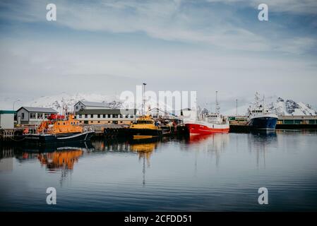 Im Hafen von Höfn, Island Stockfoto