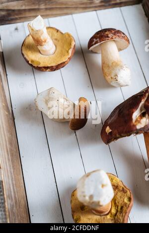 Von oben wohlriechende Waldpilze mit braunem Kopf Holzschreibtisch bei hellem Tag Stockfoto