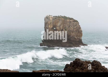 Felsformationen 'Papoa' auf Peniche Halbinsel im leichten Nebel, Peniche, Portugal Stockfoto